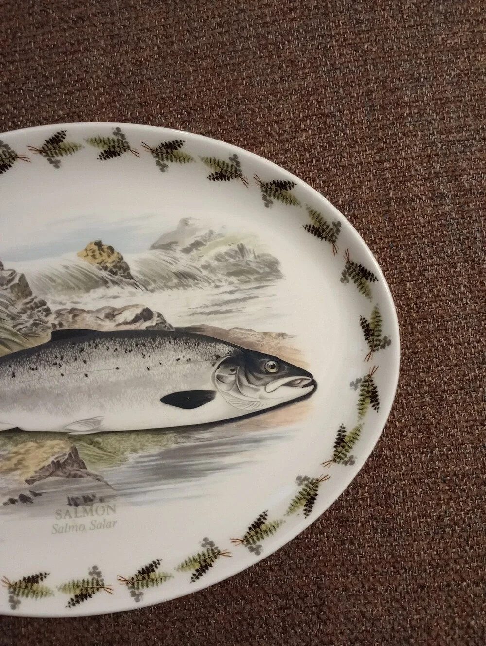 Portmeirion Compleat Angler Salmon Salmo Salar 14 5/8